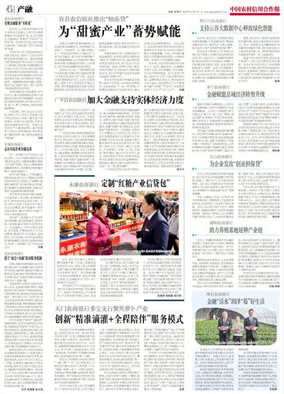 中国农村信用合作报产融