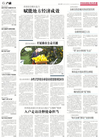 中国农村信用合作报产融